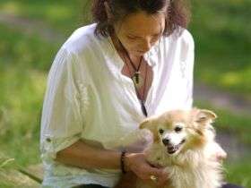 Welpentraining & Start-Hilfe mit der mobilen Hundeschule Hundetrouble