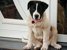 Die süße Arca will hoch hinaus