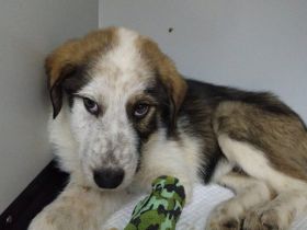 Jari sucht seinen sicheren Hafen