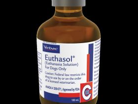 Freiwillige Euthanasie – Nembutal