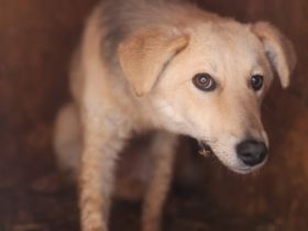 Cambera sucht empathische Menschen