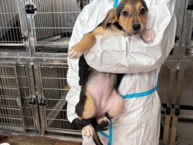 Bonnie wartet auf ihr Traumzuhause