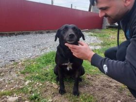 Delany liebt Menschen