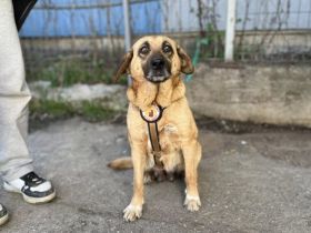 Juliana - sanft und bescheiden