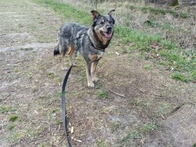 Lady freundlich am Anfang etwas schüchtern
