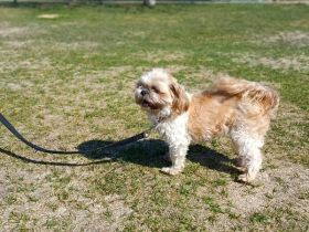 Nele, sehr lieb und freundlich