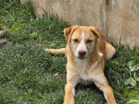 Dobby - noch etwas zurückhaltend!