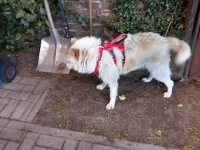 Marry Ann wünscht sich eine 2 Chance und sucht ihren Menschen