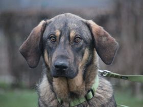 Pablo leise Seele sucht seine Familie...