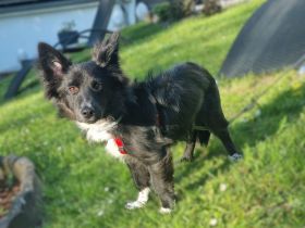 Limo möchte endlich ankommen...