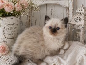 Von den heiligen Städten