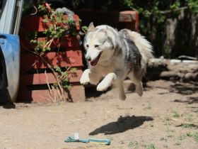 Enya - ist sehr freundlich