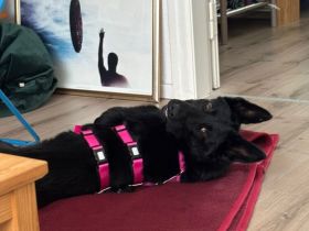 Judi sucht eine aktive Familie