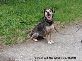 Fiona sehr lieb und freundlich