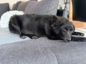 Klein Mü sucht einen Einzelplatz