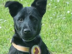 Tera sucht Familienanschluss