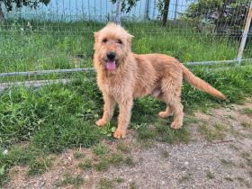 Jonne sucht seine Familie