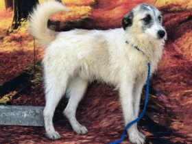 Ares, super nett und freundlich