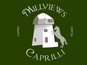 Millviews