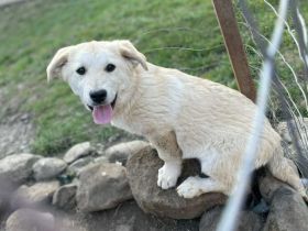 Hübsche Stella sucht Familie