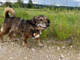 Kleiner Fynn sucht Zuhause
