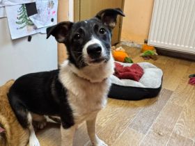 Ella ist bereit für ein neues Leben
