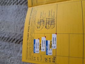 Zwerg Spitz Pomeranian Hündin zu verkaufen