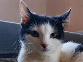 Cher, neugierig, mutig und immer auf Entdeckungstour - Spitzname  "Wilde Hilde" :-)