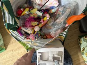 BKH Babys❤️ geimpft, entwurmt, großes Starter Paket