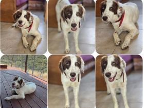 Snow White – liebevolle Mama