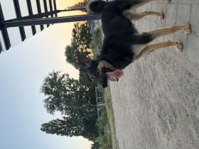 Akari sucht liebevolle und erfahrene Menschen✨