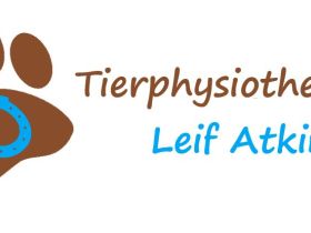 Tierphysiotherapie Leif Atkins - Mobile Physiotherapie für Hunde und Pferde