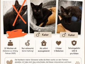 BKH Brüder