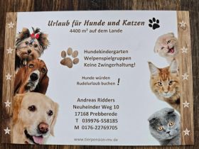 Tierpension Prebberede  Ländlich in der Nähe von Rostock