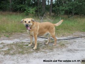 Maja, Energie und Liebe