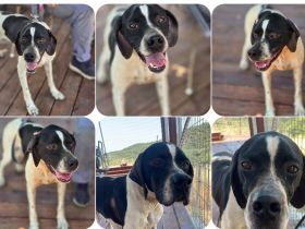 Lilly – bewegungsfreudig, sensibel und aufmerksam