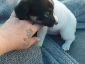Zwei Mädchen