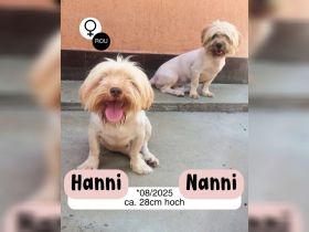 NANNI - endlich frei!