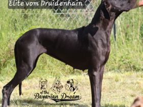 Liebevolle Hände gesucht