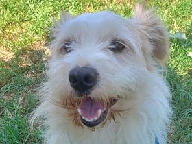 Sancho, lieb und nett