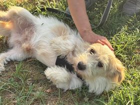 Sancho, lieb und nett