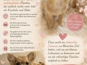 Unsere Maus sucht ihr Liebhaber Platz