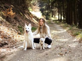 Hundeschule Silvia Helbig – Mobiles Hundetraining im Rhein-Neckar-Kreis