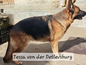 Sie darf auch in ein privates Zuhause ausziehen.