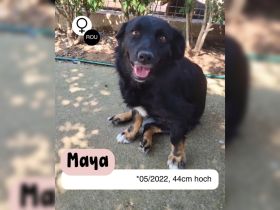 Liebevolle MAYA