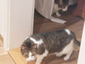 Kira und Bubi
