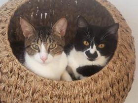 Zoe und Lucca