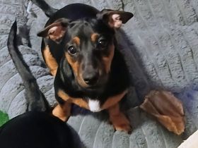 **🩷Kleine Prinzessin sucht Königreich🩷**