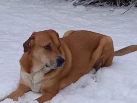 Enzo sucht seinen sicheren Hafen