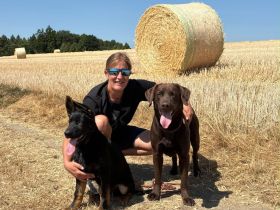 Judith Ruddeck - Stadtwolf Hundetrainerin